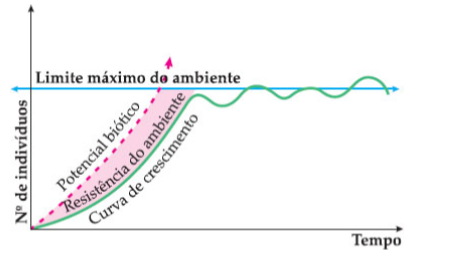 Exercícios sobre Ecologia- Descomplica, Exercícios Biologia