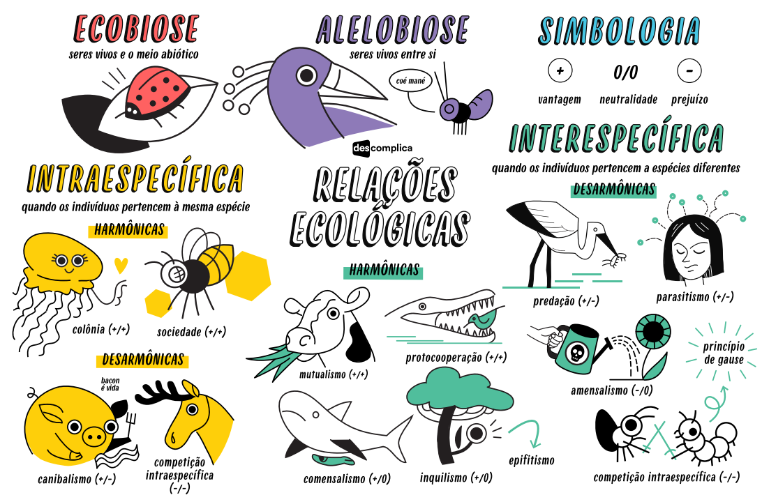 Exercícios sobre Ecologia- Descomplica, Exercícios Biologia